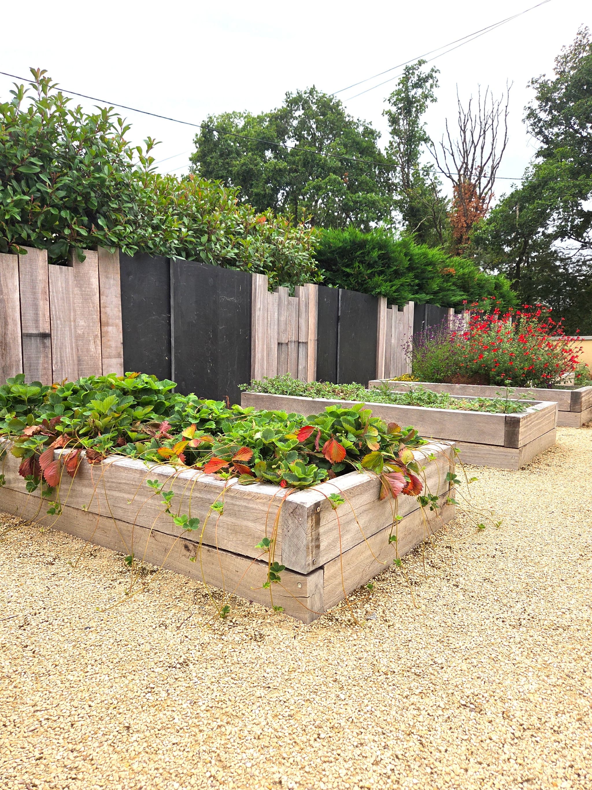 Témoignage de Sophie